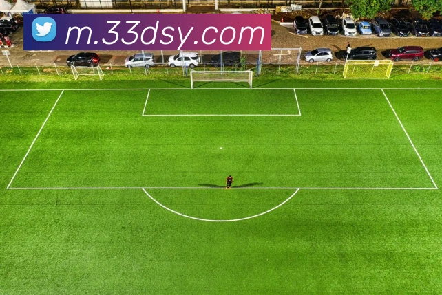 大三元官网平台登录平台生态图