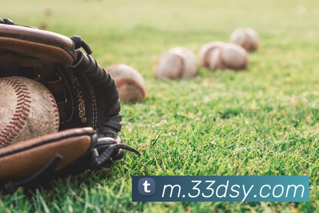 大三元官网平台登录全站App